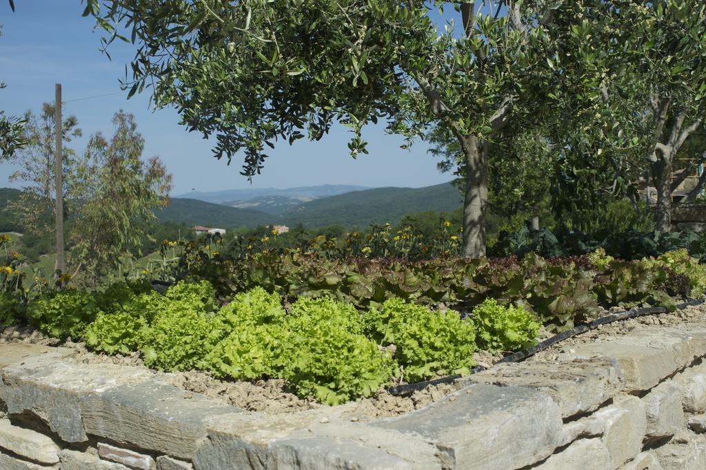 Agriturismo Erta Casole dʼElsa Exterior foto