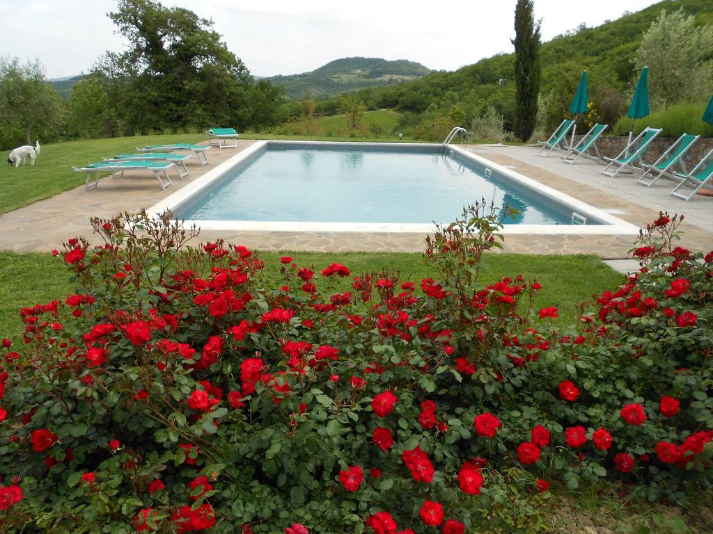 Agriturismo Erta Casole dʼElsa Exterior foto