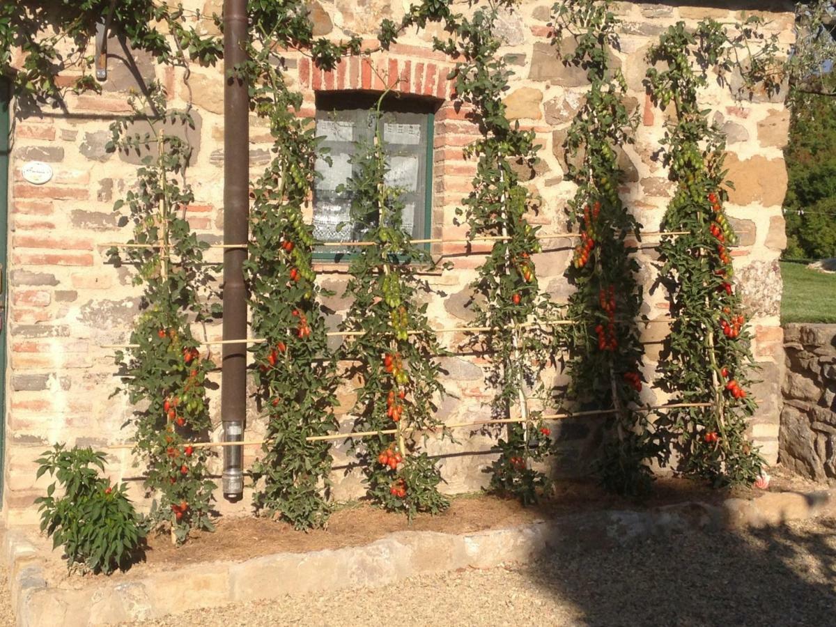 Agriturismo Erta Casole dʼElsa Exterior foto