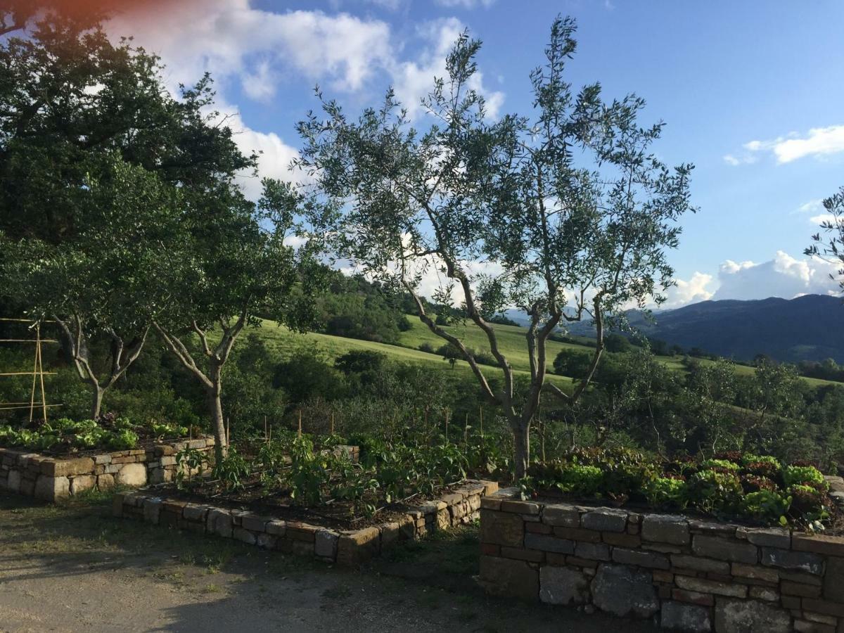 Agriturismo Erta Casole dʼElsa Exterior foto